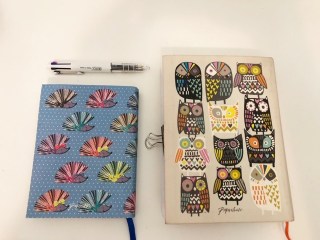 01526BC0-F8D5-4342-94C0-5E950D57E2FA